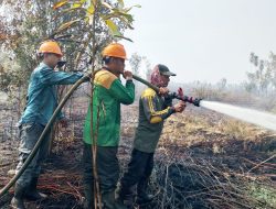 Karhutla Kembali Ancam Mempawah, Tim Gabungan Terus Berjibaku Padamkan Api