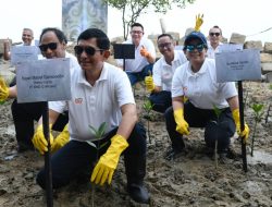 Grup MIND ID Tanam 10.000 Mangrove di Mempawah, Komitmen Nyata Jaga Lingkungan dan Perkuat CSR