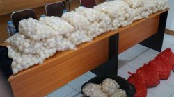 KKP Gagalkan Penyelundupan 5.400 Telur Penyu di Sambas, Modus Gunakan Kapal Penumpang