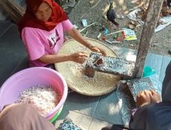 Gemawan Latih Perempuan Tani Pulau Maya Produksi Minyak Kelapa Murni, Dorong Kemandirian Ekonomi Pesisir
