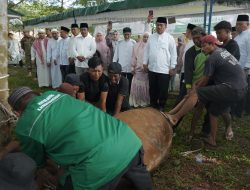 Bupati Asahan Pantau Penyembelihan 111 Hewan Kurban dalam Kegiatan Idul Adha Pemerintah Kabupaten Asahan