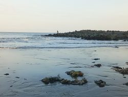 Pantai Aik Anyir Dipenuhi Sampah, Pemancing dan Wisatawan Kecewa