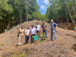 Hijaukan Hutan, Ramahkan Anak: Inovasi Lingkungan PLN yang Raih Penghargaan Nusantara CSR Awards
