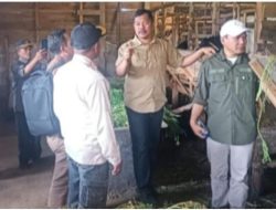 Bupati Kerinci Canangkan Kawasan Sentral Ternak Kambing PE di Batang Sangir