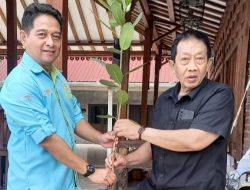 Hijaukan Bumi, Gerakan Nyamplung dari Jogkem untuk Masa Depan Yogyakarta