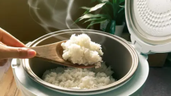 Beras Sehat, Keluarga Bahagia: Tips Memasak Nasi Agar Lebih Sehat
