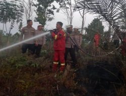 Kebakaran Lahan Hanguskan 5 Hektare Perkebunan Karet dan Sawit di Sanggau, Diduga Akibat Puntung Rokok