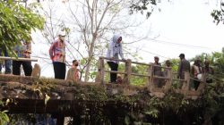Bupati Erlina Tinjau Langsung Jembatan Rusak di Toho Ilir, Tegaskan Komitmen Percepatan Pembangunan
