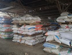 Koperasi TBS Bengkayang Ekspor 120 Ton Jagung ke Malaysia, Akong Ajak Petani Maksimalkan Potensi