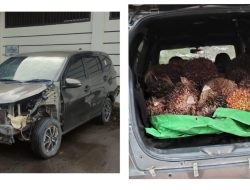 Polres Sekadau Tangkap Pelaku Pencurian Sawit PT BSL, Satu Rekan Masih Buron