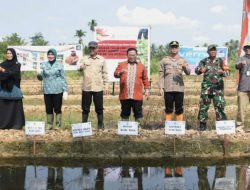 Wabup Kubu Raya Pimpin Gertam Cabai Serentak KUPONWAH Tekan Inflasi dan Perkuat Ketahanan Pangan