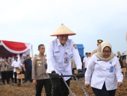 Polda Sumsel Inisiasi Tanam Jagung di Lahan Rawan Karhutla, Sekda: Wujud Nyata Sinergi Ketahanan Pangan