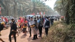 Skandal Plasma Sawit: DPRD Ketapang Mandul, Lebih Peduli Proyek Pokir daripada Rakyat