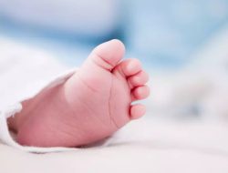 Warga Sajingan Besar Digegerkan Penemuan Bayi Perempuan di Tepi Jalan Negara Sambas–Sanggau Ledo