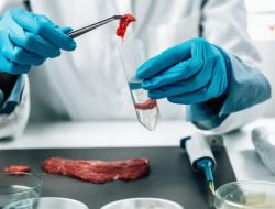 Dinkes Kayong Utara Turun Tangan Tangani Kasus Siswa SD Diduga Keracunan Menu MBG