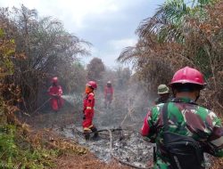 Karhutla Hanguskan 16 Hektar Lahan Gambut di Sambas, Pemadaman Libatkan Tim Darat dan Udara