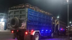 Bupati Kayong Utara Soroti Truk Sawit Bertonase Berat, Ajak Musyawarah untuk Jaga Jalan
