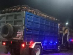 Bupati Kayong Utara Soroti Truk Sawit Bertonase Berat, Ajak Musyawarah untuk Jaga Jalan
