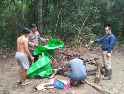 Polsek Belitang Hilir Tertibkan Lokasi Diduga Sabung Ayam di Desa Entabuk