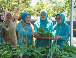 Gali Potensi Lokal, TP PKK Sumsel Ajak Warga PALI Wujudkan Kemandirian Pangan
