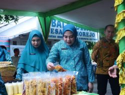 Staf Ahli TP PKK Sumsel Lidyawati Cik Ujang Dorong Revitalisasi Dasawisma saat Kunjungan Kerja ke OKU Timur