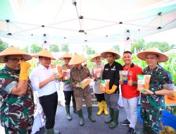 Sumsel Raih Apresiasi Kementan atas Inovasi Padi Apung dan Gerakan Mandiri Benih