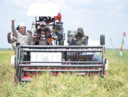 Panen Padi IP 100 dan Tanam Padi IP 200, Bupati Banyuasin Optimis Banyuasin Jadi Penghasil Gabah Nomor 1 Di Indonesia