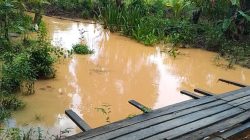 Warga Air Upas Resah, Sungai Subali Tercemar Perusahaan Tambang, DLH Ketapang Diminta Tegas