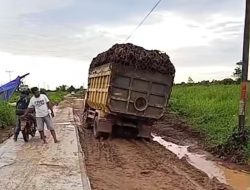 Warga Geram, PT SKM Tetap Angkut Sawit Berat Meski Jalan Poros Sedang Diperbaiki