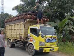 Antisipasi Masuknya Barang Ilegal ke Infonesia