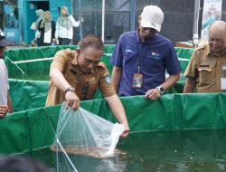 PLN Dorong Ketahanan Pangan dan Ekonomi Lokal Lewat Program Electrifying Aquaculture di Kubu Raya