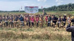 Bulog Singkawang Serap Hasil Panen Jagung dan Gabah Petani di Singbebas