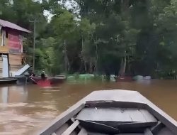 Hujan Deras Sebabkan Banjir di Perbatasan Sambas, Akses Jalan Dusun Senipahan Terendam