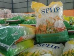Harga Beras Premium di Sambas Terus Naik, Warga Resah dan Pemerintah Siapkan Operasi Pasar
