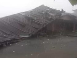 Hujan Disertai Angin Kencang Terjang Sanggau, Tiga Rumah Warga Rusak dan Pohon Tumbang