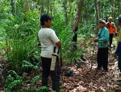 Hari Kelima Pencarian, Nenek Nuraya yang Hilang di Hutan Sambas Belum Ditemukan