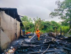 Rumah Semi Permanen di Kuala Dua Ludes Terbakar, Pemilik Gagal Selamatkan Harta Benda