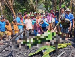 Kebakaran Hebat di Pulau Maya, Rumah Hangus dan Warga Lansia 90 Tahun Meninggal Dunia