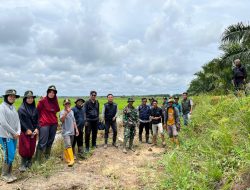 Desa Muara Damai Dapat Program Optimalisasi Lahan Sawah dari Kementerian Pertanian