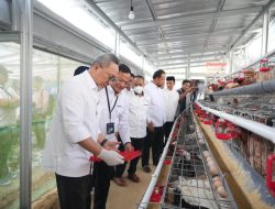 ‎Menko Pangan Tinjau Program Pemberdayaan PNM di Kopeng, Apresiasi Dukungan untuk Ketahanan Pangan