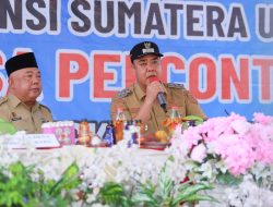 Wakil Bupati Batu Bara Apresiasi PKK Mekar Baru, Desa Percontohan UP2K Berbasis Tanaman TeLor