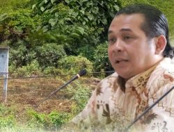 Nasib Proyek Kantor Gubernur Sumsel Belum Jelas, Andreas Okdi Priantoro: Kembalikan Lahannya ke Fungsi Semula Saja!