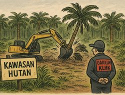 Gakkum KLHK Mandul, Masyarakat Minta Kejati Ambil Alih Kasus Penggarapan Hutan Lindung oleh Sinarmas Group