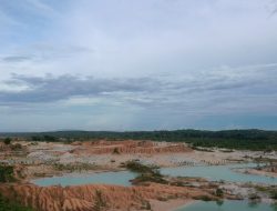 Setahun Menteri Nusron: 96 Persen Penertiban Tanah Telantar Dialokasikan untuk Reforma Agraria