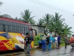 Pengendara Motor Tewas dalam Kecelakaan Beruntun di Jalan Gerasik Semparuk