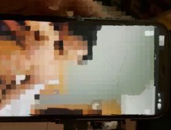 Video Asusila Diduga Libatkan Oknum Guru SMK di Kalbar, HWCI Desak Penindakan Tegas