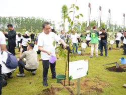 Ratusan Peserta Ikuti Jalan Santai APPSI di IKN, Gubernur Kalbar Ria Norsan: Jejak Hijau untuk Nusantara