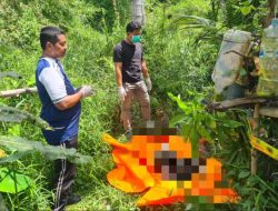 Heboh! Warga Sungai Pinyuh Temukan Kerangka Manusia di Hutan, Ternyata Adik Sendiri yang Hilang 50 Hari