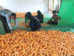 Polsek Mukok Dukung Program Ketahanan Pangan Nasional