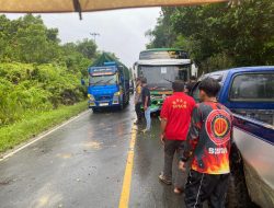 Akibat Pohon Tumbang Bus Tergelincir Menghambat Lalu Lintas